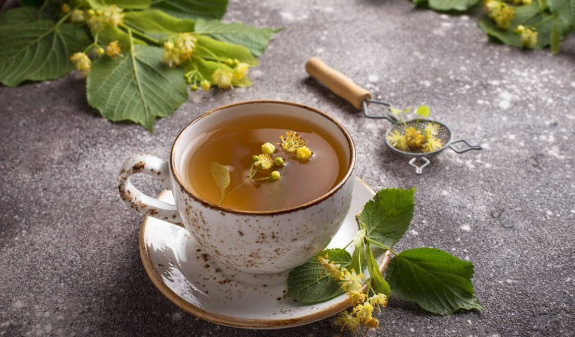 herbata z liści oliwnych